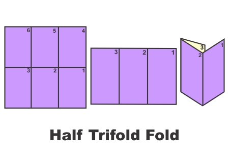 half tri fold
